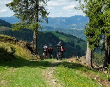 rennrad schuhe damen weiß Nuovo Carbon . Weiße Rennradschuhe aus Leder snapper Durchmesser:22,2mm ORTLIEB Packtaschen Set Back